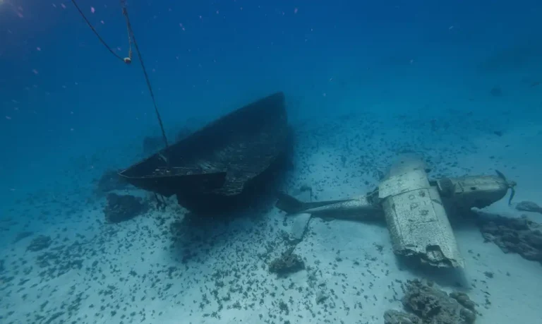 aquarium épaves bateau avion