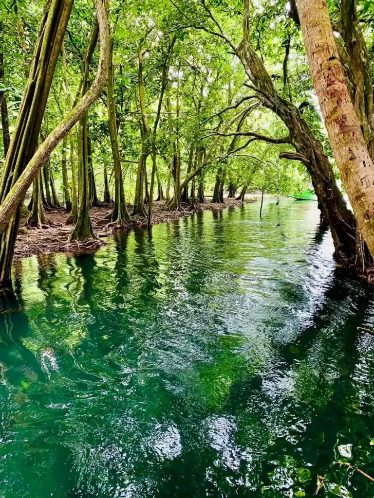 presqu'ile de tahiti