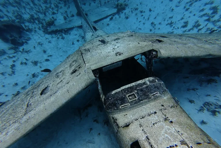 aquarium avion