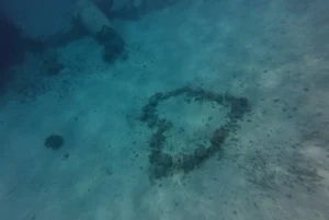aquarium coeur
